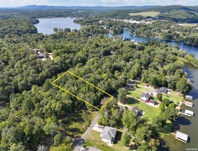 000 Scenic Dr, Hot Springs, AR 71913 - photo 6