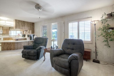 18218 Paradise Mountain Rd unit Space 115, Valley Center, CA 92082 - photo 6