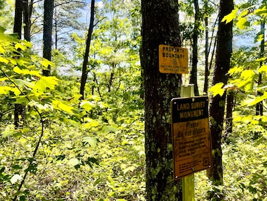 1272 Peach Orchard Way, Del Rio, TN 37727 - photo 3