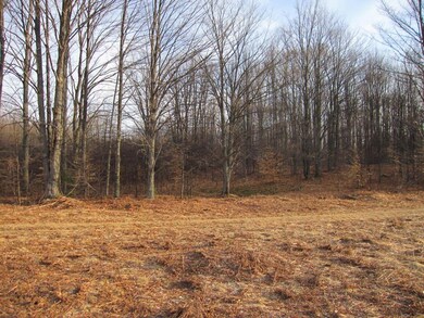 woods
