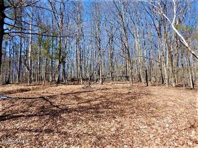 Beautiful, sunny 15.6 acres