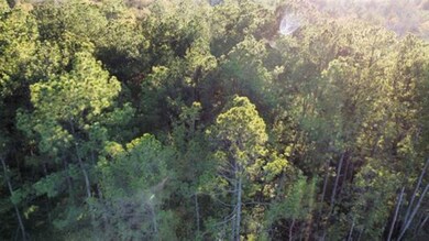 2700 County Road 443, Magnolia Springs, TX 75956 - photo 5