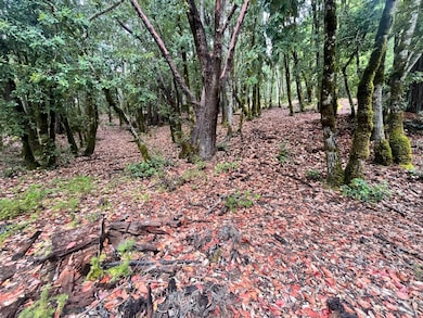 1817 Clover Dr, Brooktrails, CA 95490 - photo 6