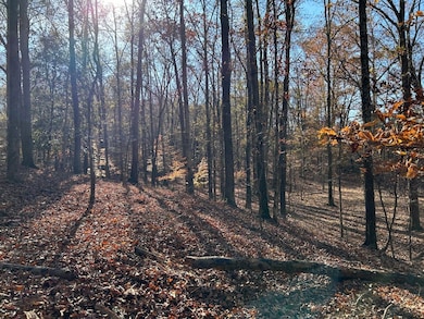 0 Dove Hill Rd unit 25439972, Royston, GA 30662 - photo 7