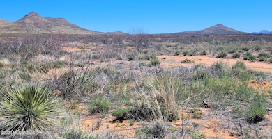 20 ACRE (1)