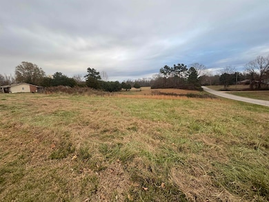 0 Holder St, Phil Campbell, AL 35581 - photo 4