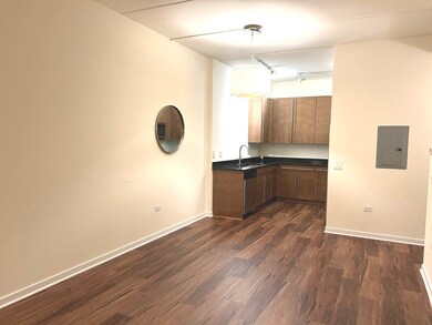 873 N Larrabee St unit 207, Chicago, IL 60610 - photo 7