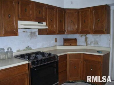 419 S Mclean St, Lincoln, IL 62656 - photo 5