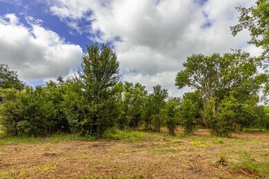 TBD 8 Ox Mill Creek Rd, Weatherford, TX 76087 - photo 2