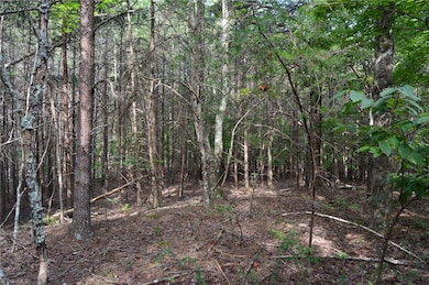 02 Hanging Rock Forest Rd unit Tract E (10.8), Danbury, NC 27016 - photo 6