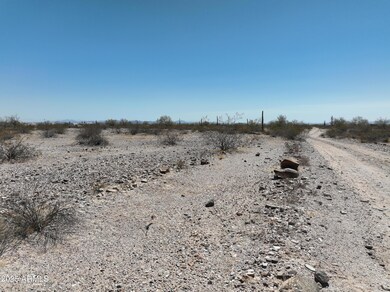 0 W White Wing Rd unit 10 6888001, Maricopa, AZ 85139 - photo 5