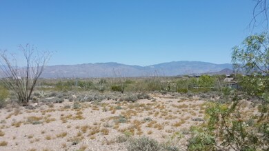20150528_104650