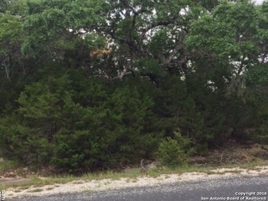 22909 Central Prairie, San Antonio, TX 78255 - photo 4