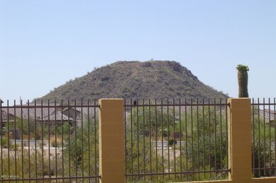 BACKYARD MOUNTAIN VIEW