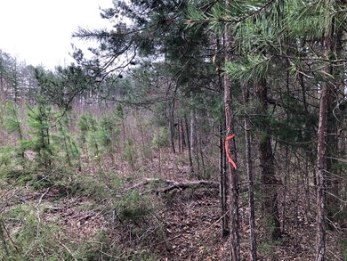 Lots 4-5 Oral Oaks Rd, South Hill, VA 23970 - photo 6