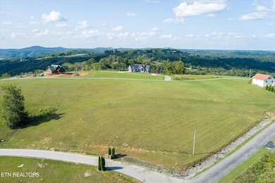 0 Sunfish Ln unit 1277085, Hilham, TN 38568 - photo 4