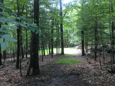 114 Saddle Brook Ln, Blooming Grove Township, PA 18428 - photo 2