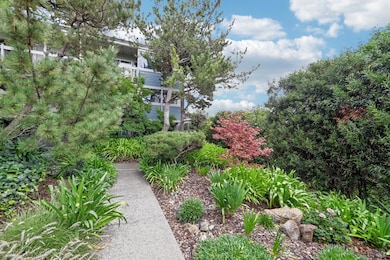 290 Via Casitas unit 206, Greenbrae, CA 94904 - photo 6