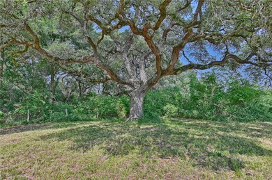 Big Oaks
