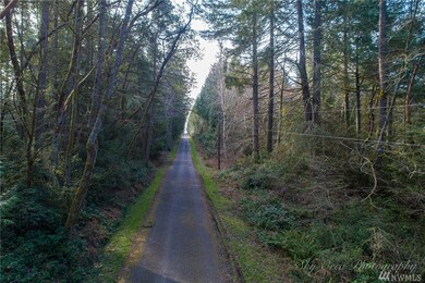 0 Otso Point Rd unit 1609342, Anderson Island, WA 98303 - photo 2