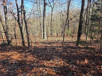 L11,B5 Wasatch Trail, Cherokee Village, AR 72529 - photo 7