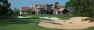 Sharks Tooth Clubhouse