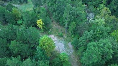 TBD Lowrie Loop, Smithville, OK 74957 - photo 6