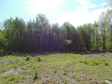 352 Sokokis Trail S, Limerick, ME 04048 - photo 2