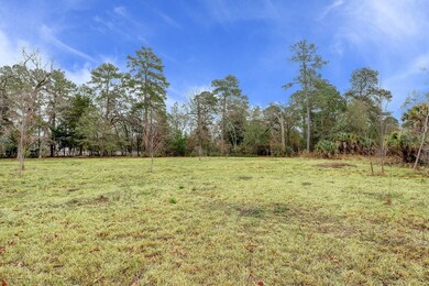 35 E Rivercrest Dr, Houston, TX 77042 - photo 5