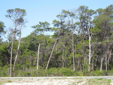 East side of Property