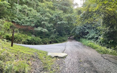 Additional View