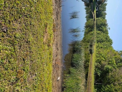 650 Tulip Cir W, Auburndale, FL 33823 - photo 5