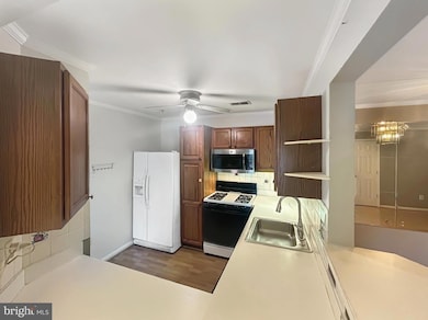 9060 Gracious End Ct unit 201, Columbia, MD 21046 - photo 6