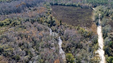 xx1 Seay Rd, Cottondale, FL 32431 - photo 5