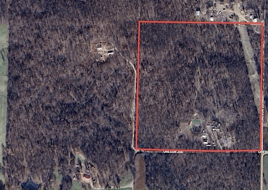 557 County Road 206, Alton, MO 65606 - photo 2