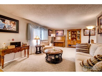 11582 Albion St, Thornton, CO 80233 - photo 3