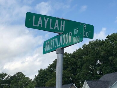 2917 Laylah Dr, Winterville, NC 28590 - photo 3