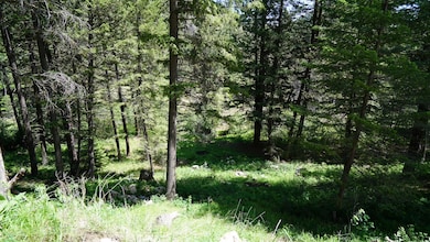 DSC03352