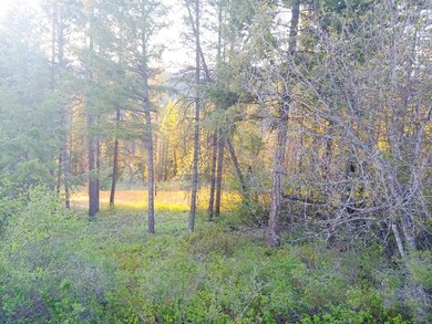 Nice cleared spot - evening sun