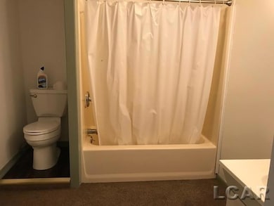 2200 E Gier Rd, Adrian, MI 49221 - photo 7