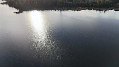 DJI_20240117051431_0126_D