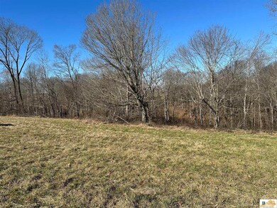 501 Brockman Rd, Columbia, KY 42728 - photo 6