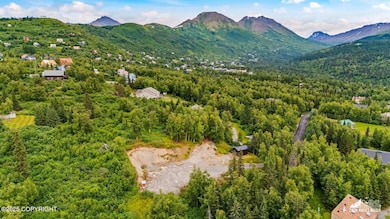 12801 Midori Dr, Anchorage, AK 99516 - photo 6