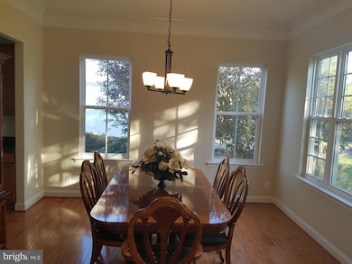 6732 Eckert Ct, Warrenton, VA 20187 - photo 6