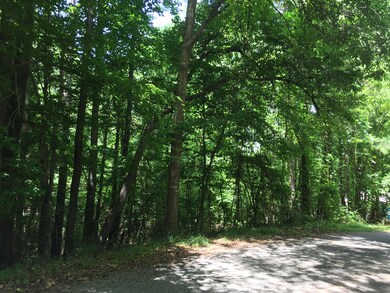 Wood Duck Loop roadside