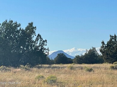 IMG_8166