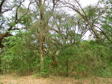 106 Mazie Dr, Zephyrhills, FL 33541 - photo 2