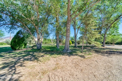 7049 US Highway 50 E, Dayton, NV 89403 - photo 2