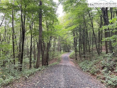 TBD Wolfsbane Trail, Todd, NC 28684 - photo 5