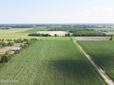 W Menard Rd Land Photo 5